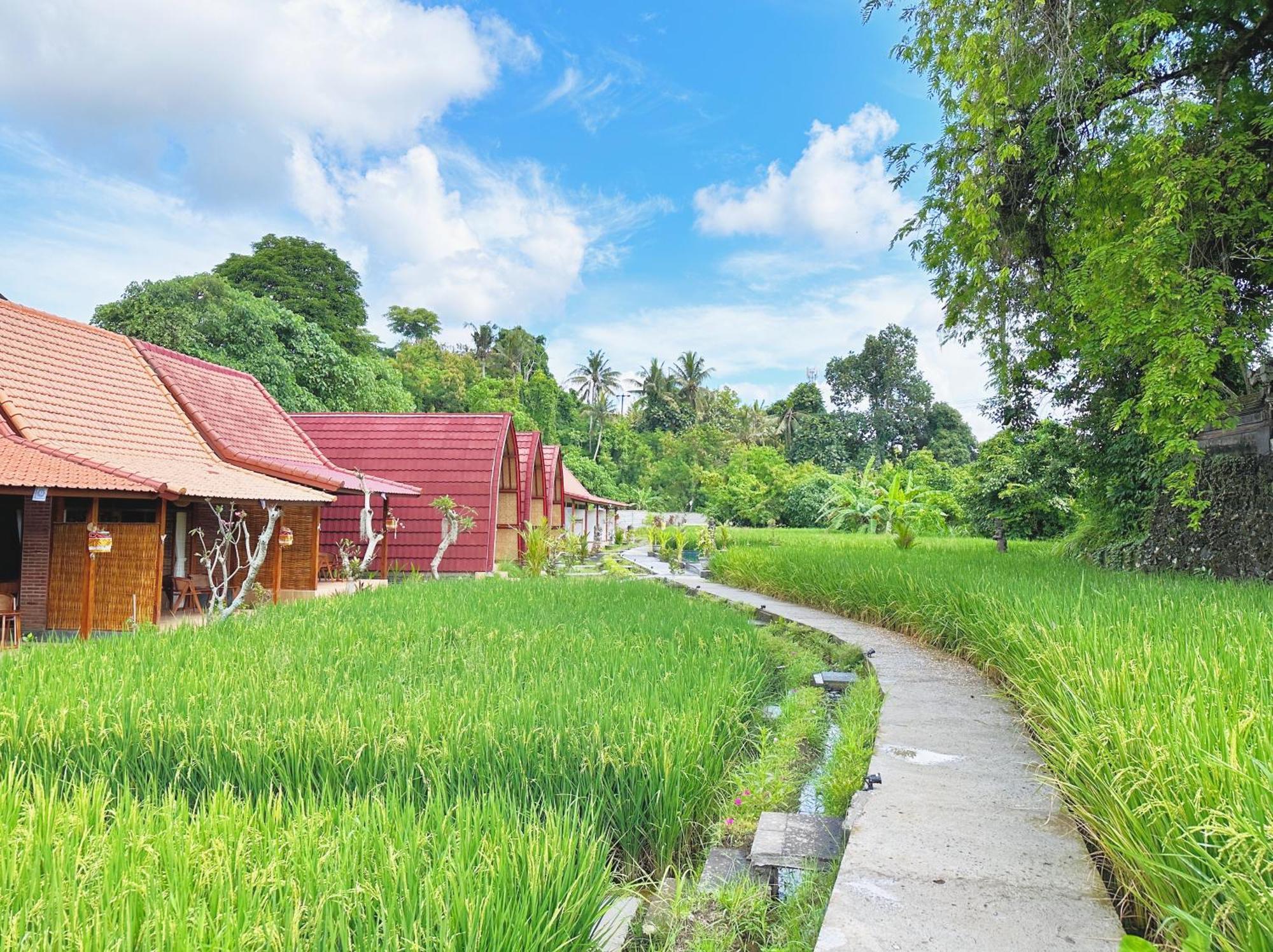 Uma Raos Couette-café Ubud